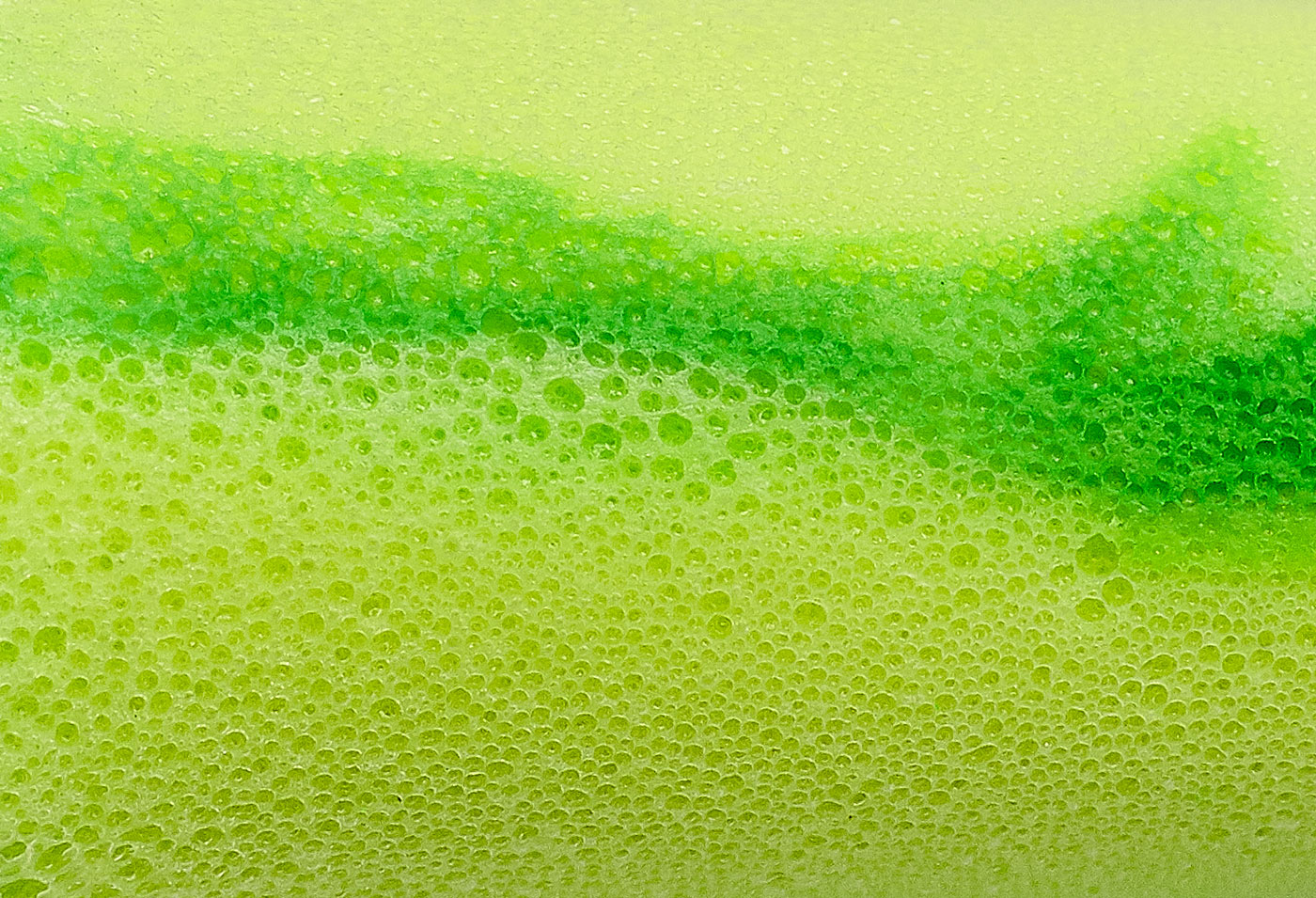 PLUGSTATION BOUCHONS CONTOURS PETITE TAILLE - LOT DE 500 - MOLDEX - 745301