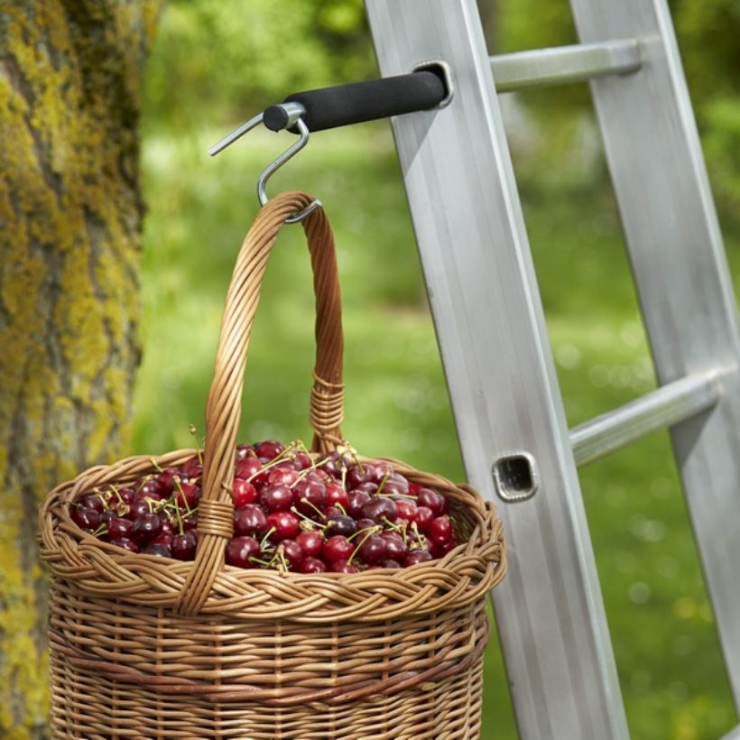 Porte-accessoires pour Echelle - MOTTEZ - B001Q