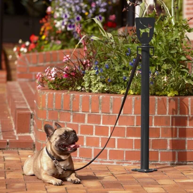 Potelet accroche laisse de chien - MOTTEZ - B363SDOG