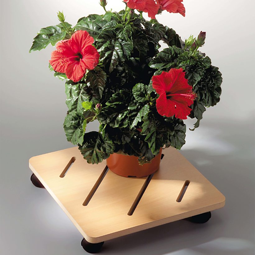 Plateau Tournant en Hêtre Carré 35 x 35cm - MOTTEZ - B732VHE