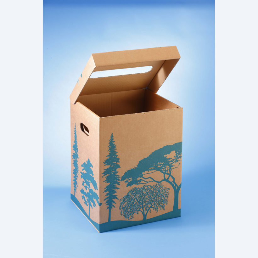  Corbeille à papier 36 L style végétal  - MOTTEZ - B961VRCY