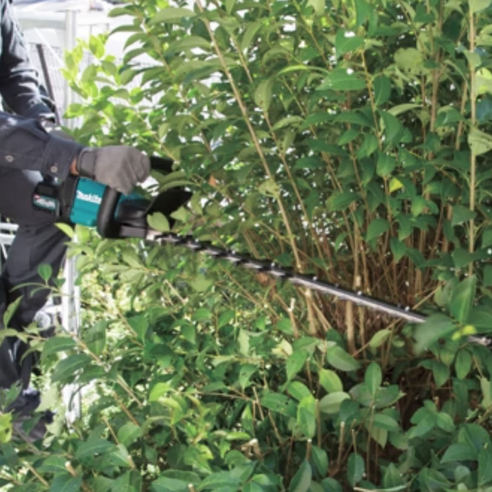 Taille-haie MAKITA XGT 40 V Max Li-Ion 4 Ah 60 cm - UH004GM201