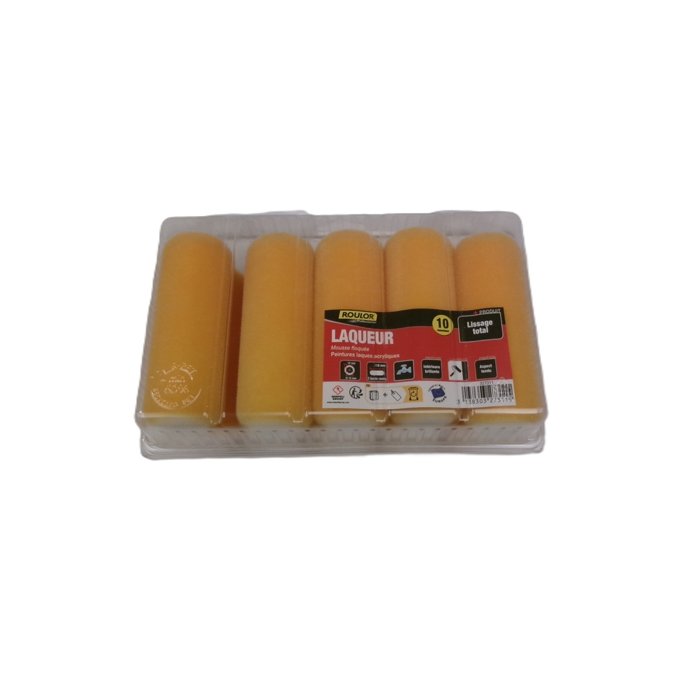 Boite de 10 mini-manchons mousse floquée 110 mm pour surfaces lisses et préparées - ROULOR - 327311