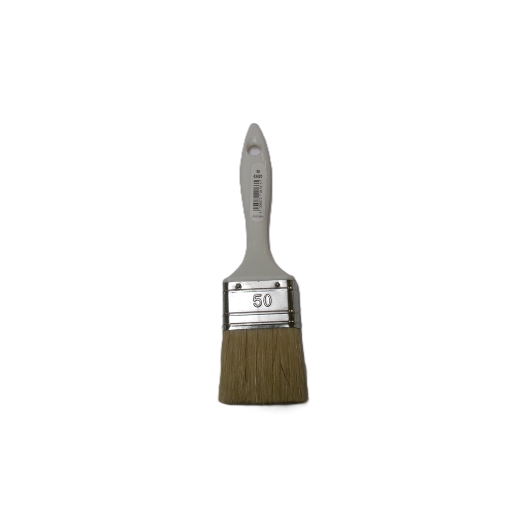 Brosse plate ÉCO n°50 en - NESPOLI - 4342050