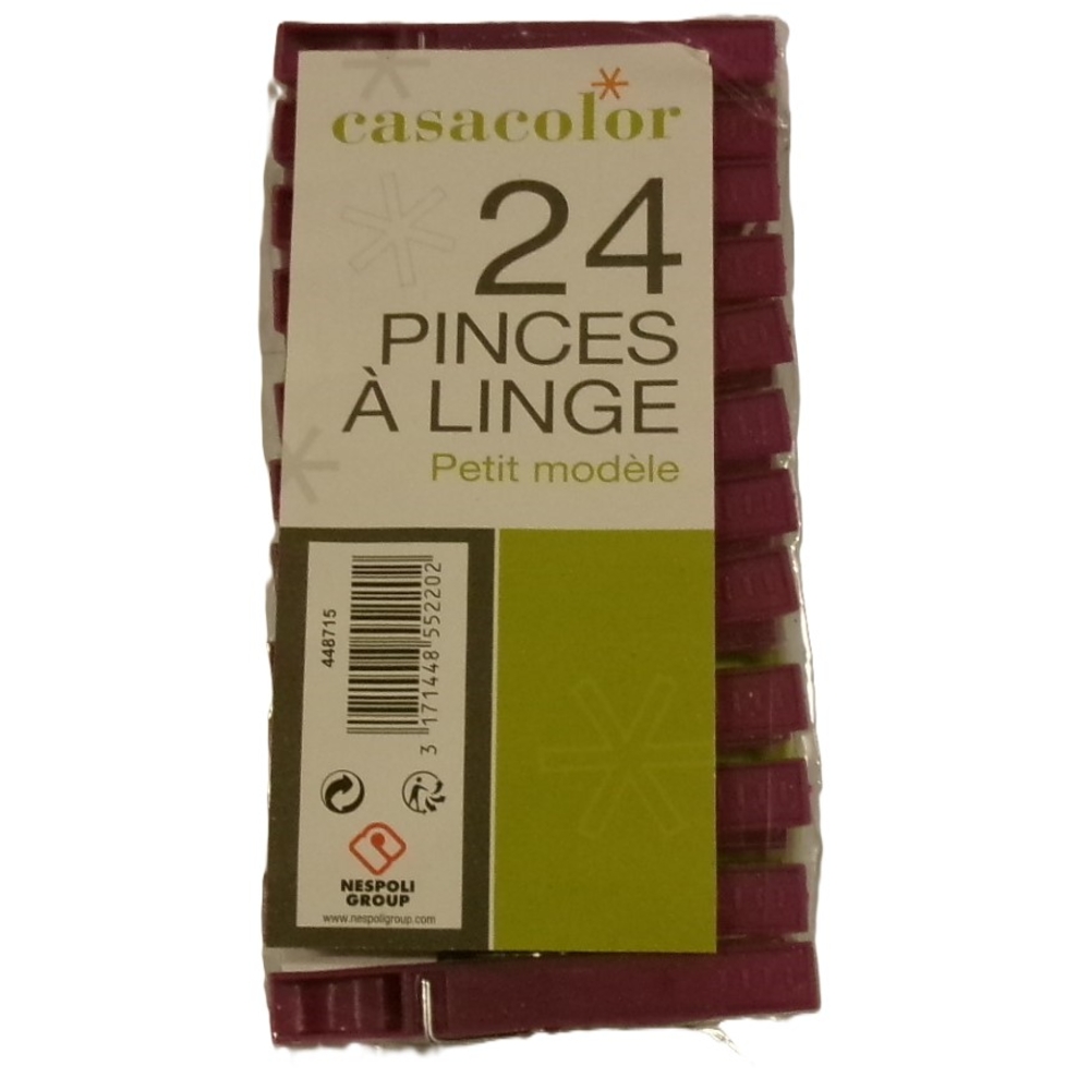 Paquet de 24 pinces à linges - CASACOLOR - 448715