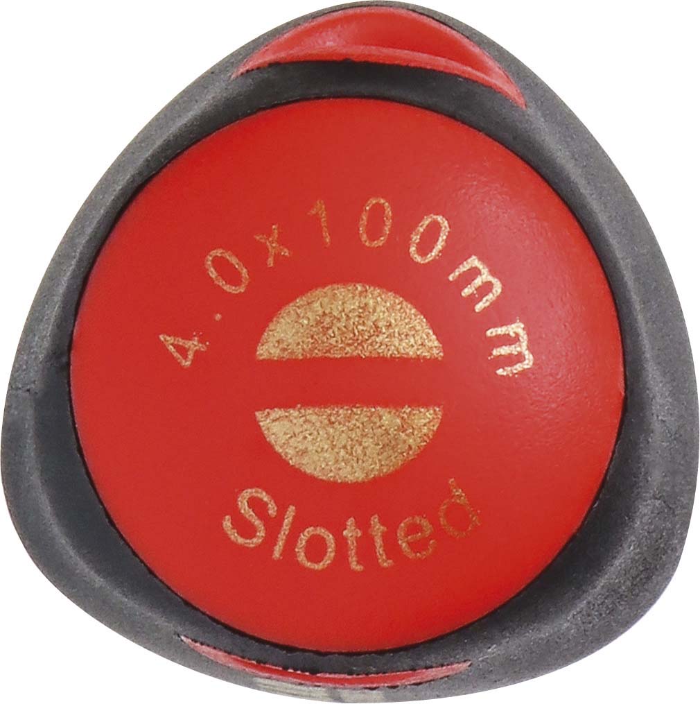 Tournevis plat mecanicien 4x100 dt s/carte DRAKKAR TOOLS - 13241