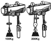 Palan électrique à câble 230V 100/200kg câble 12m DRAKKAR - 10801