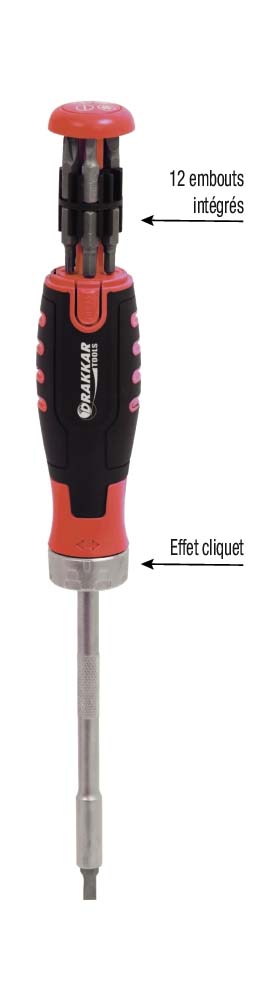 Tournevis a cliquet professionnel DRAKKAR TOOLS - 13210