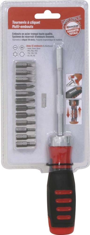 Tournevis a cliquet professionnel DRAKKAR TOOLS - 13210