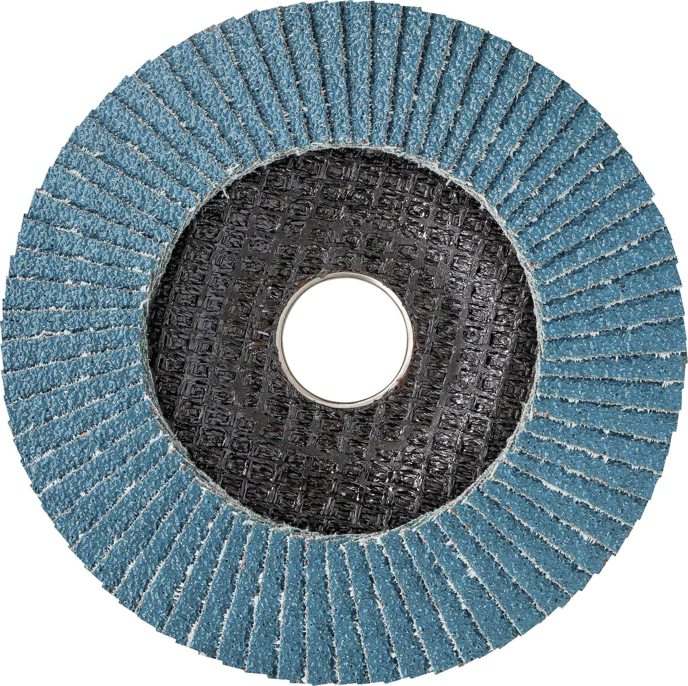 Disque à lamelles 125x22mm GR 40 - lot de 10 pcs RHODIUS - 14046