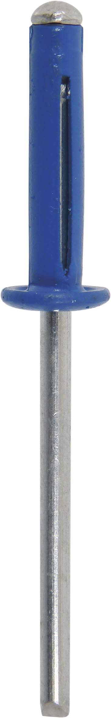 Lot 100 rivets petale 4x18 bleu special immatriculation - 23910100