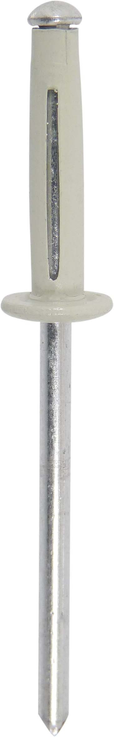 25 RIVETS SPECIAL PLAQUES - GRIS 4X18 -2391525