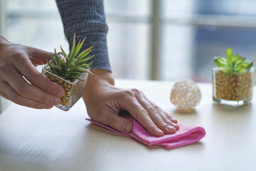 Désinfectant et nettoyant multi KARZHAN - 57617