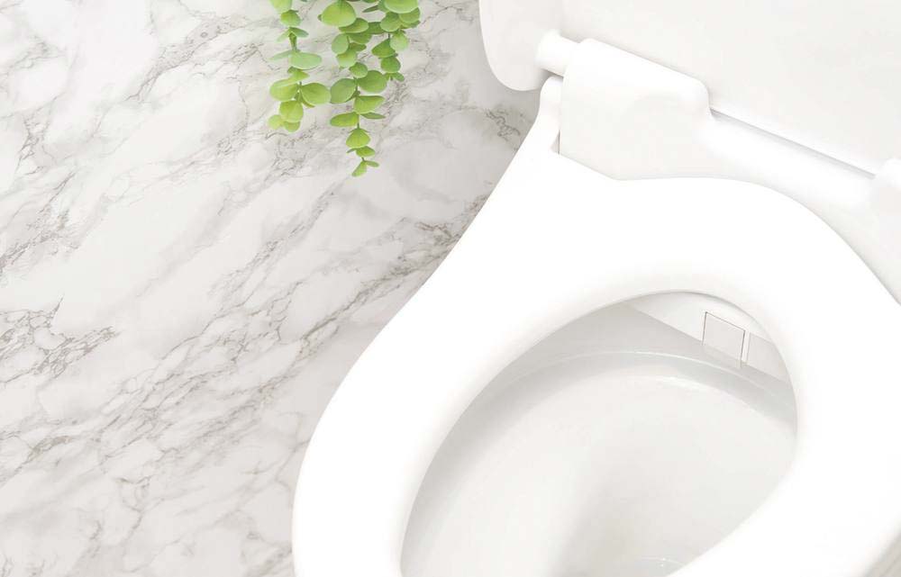 Détartrant rénovateur wc à effet moussant KARZHAN - 58710