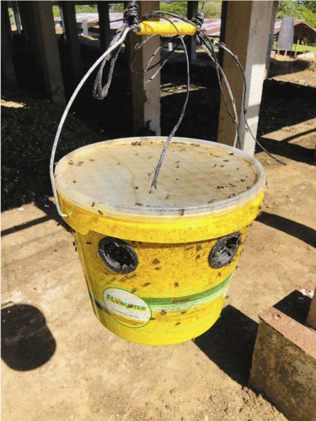 Piège à mouches flybuster avec seau de 10l et activateur ZAPI FARM - 60135