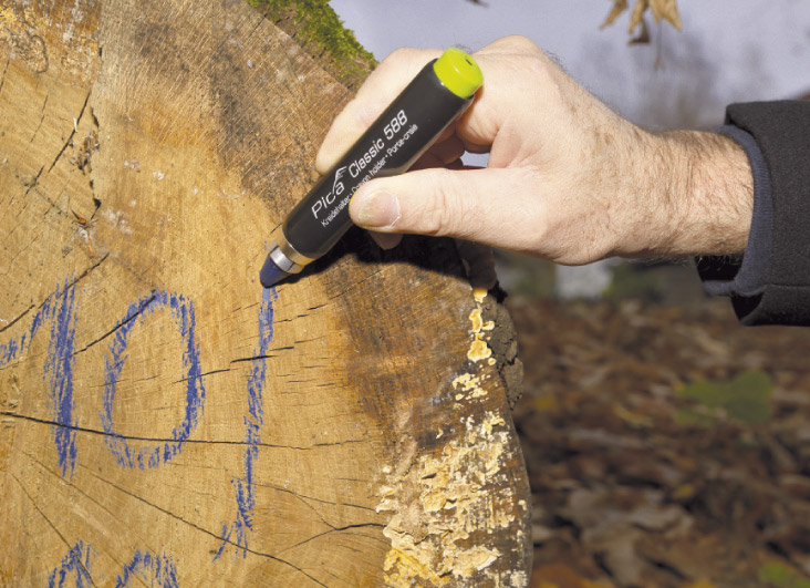 Porte - craies pica classic 588 PICA - 588-10