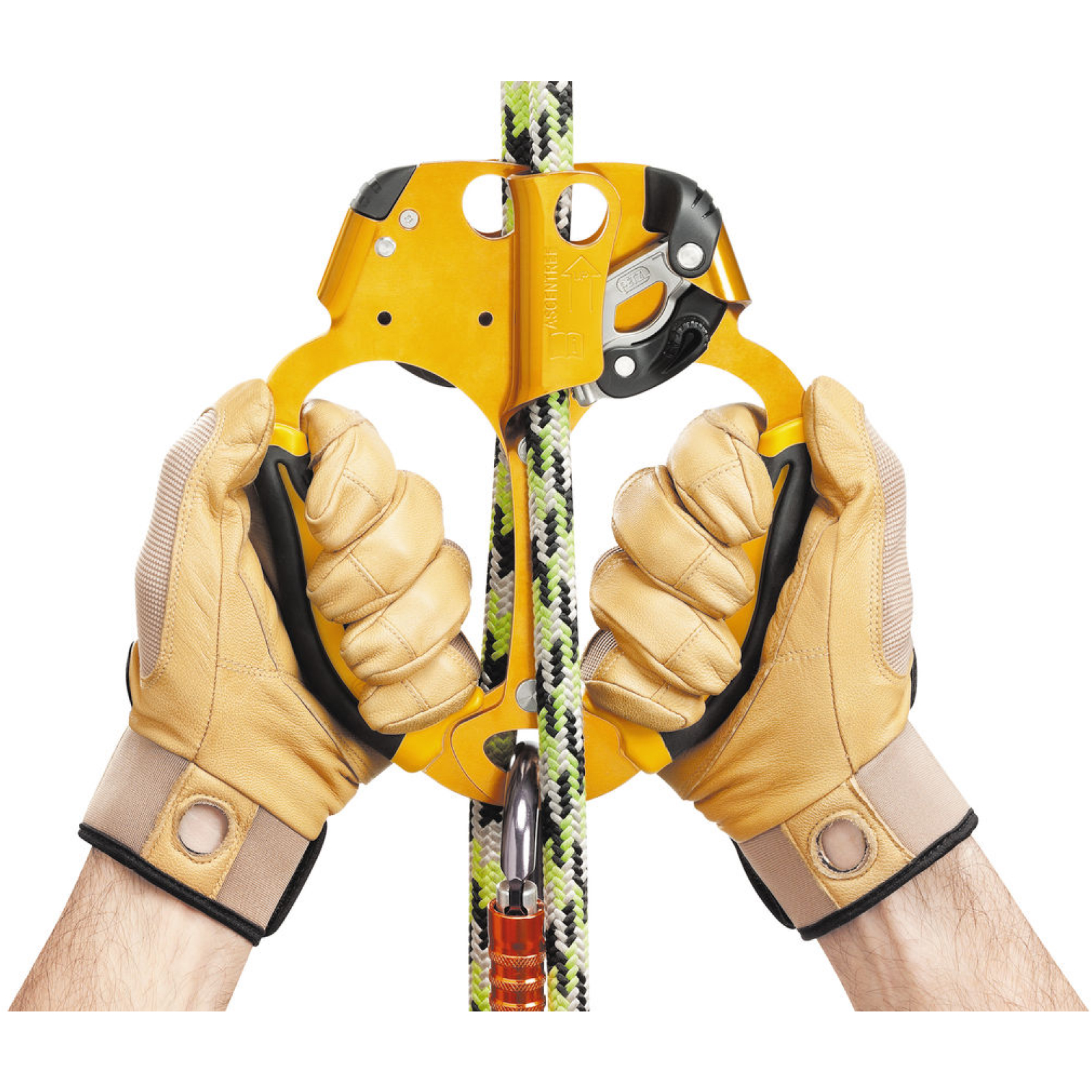 Bloqueur ASCENTREE double PETZL - B19AAA