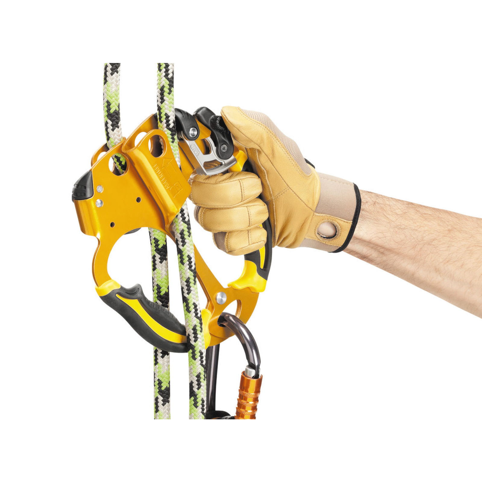 Bloqueur ASCENTREE double PETZL - B19AAA