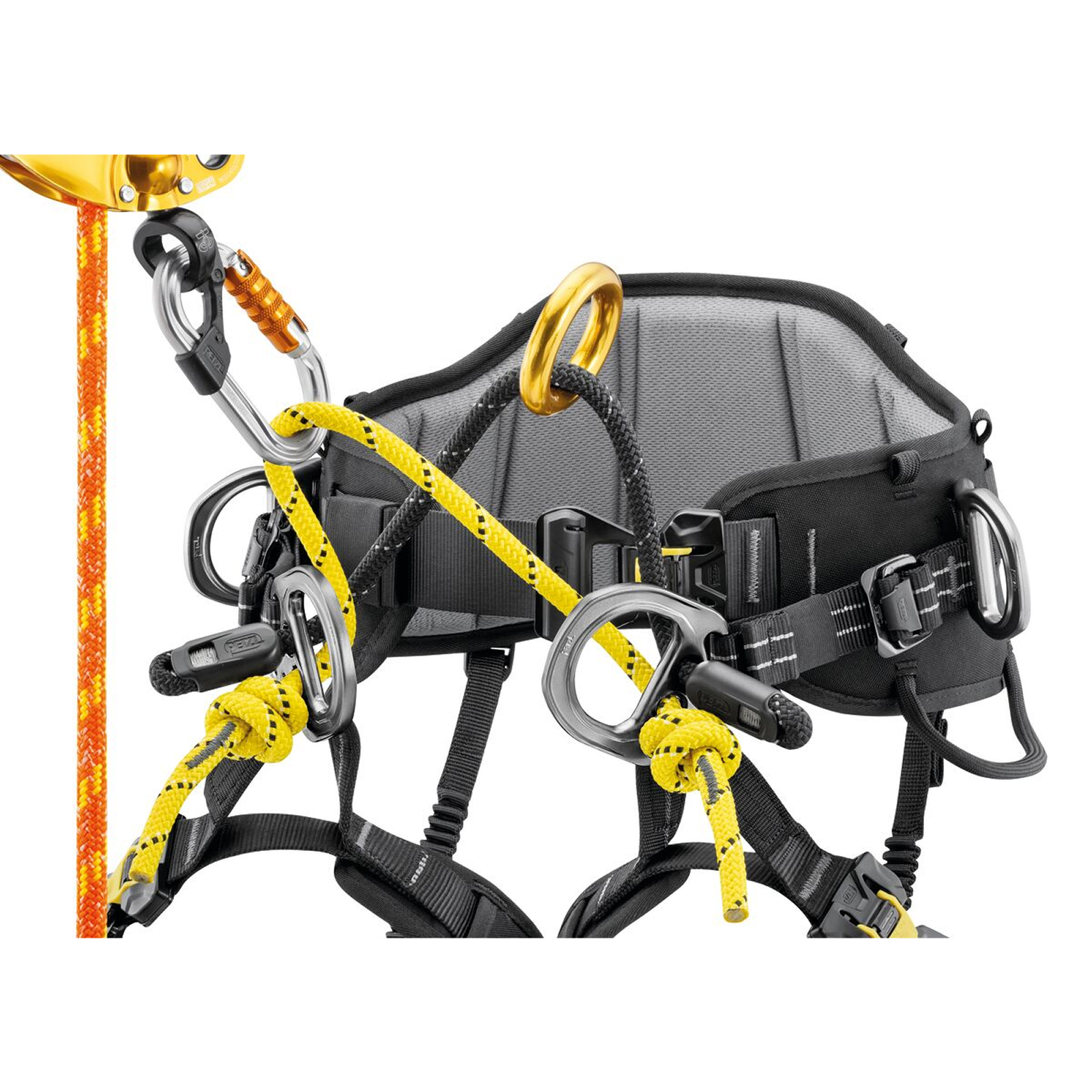 Harnais SEQUOIA Taille 1 PETZL - C069AB01