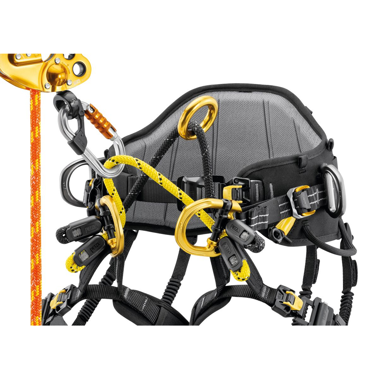 Harnais SEQUOIA PLUS Taille 1 PETZL - C069BB01