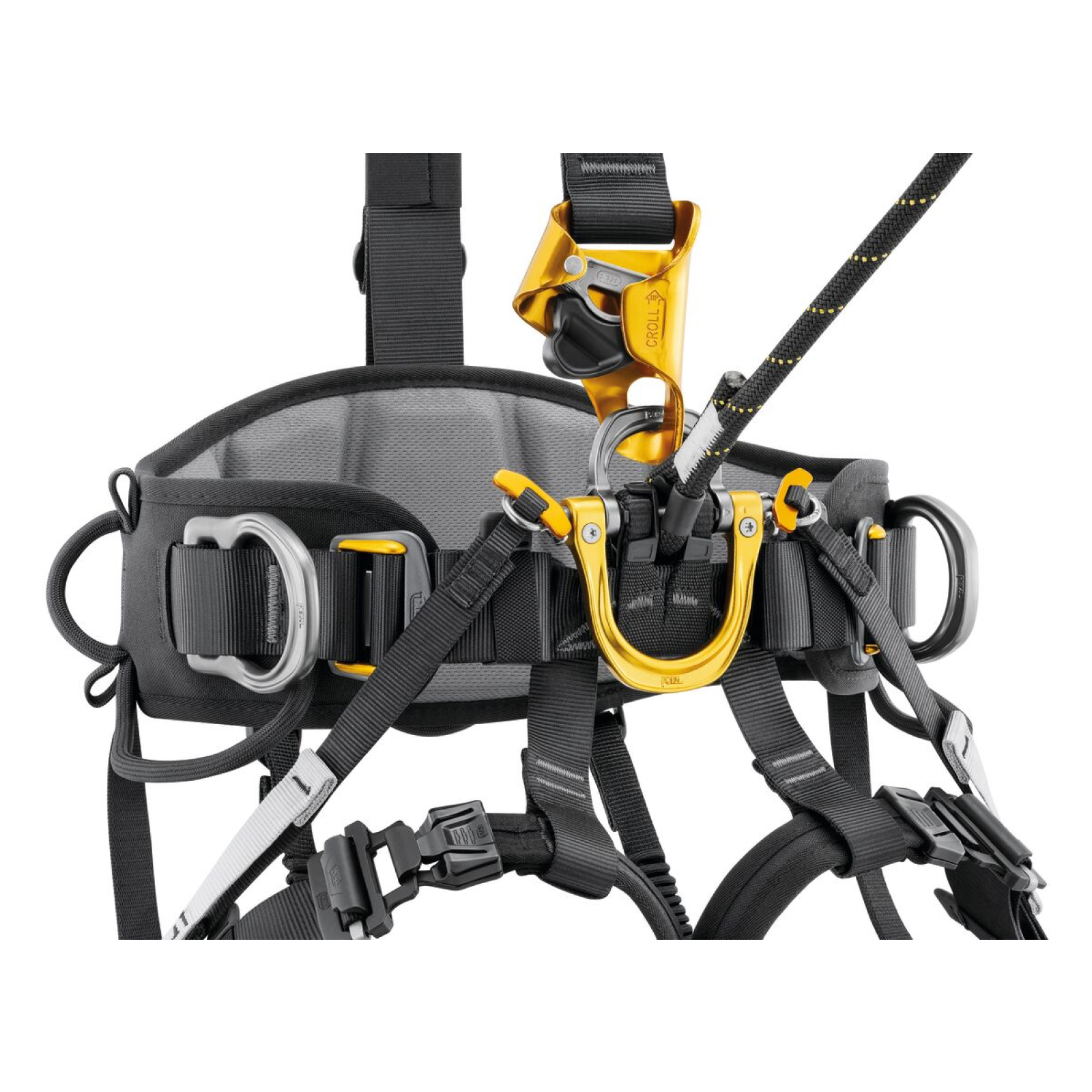 Harnais ASTRO EUR Taille 2 PETZL - C083AB02