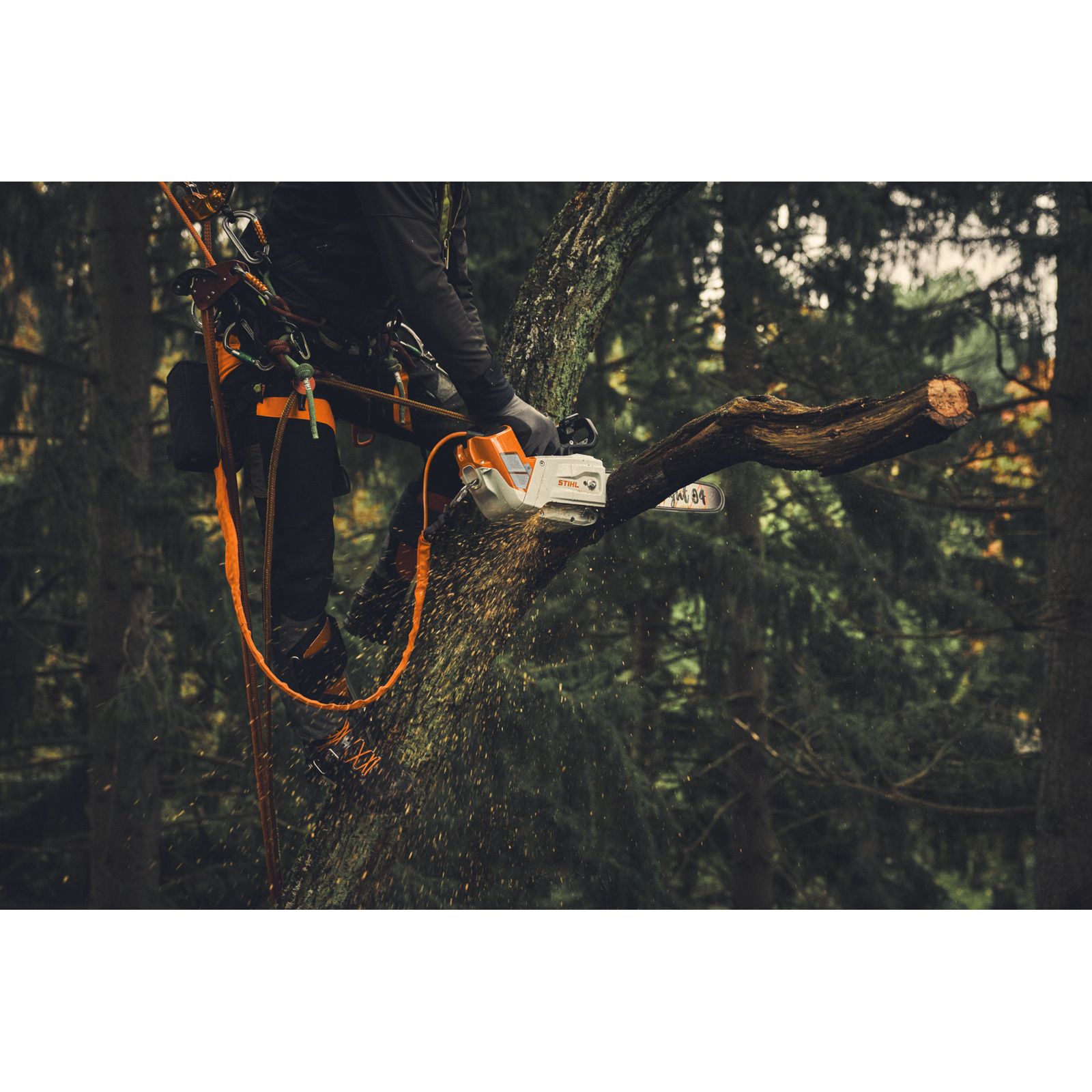 Longe élagage AP 2-en-1 STIHL - 00004902200