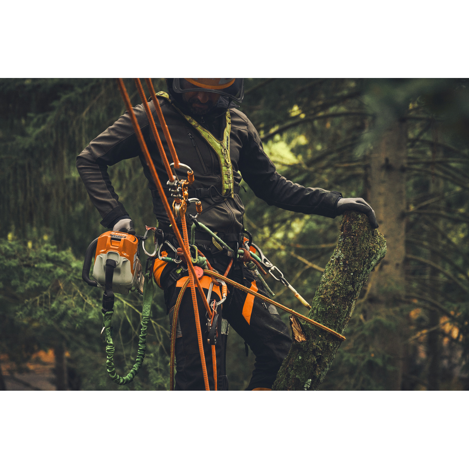 Crochet de confort pour MSA 220 T STIHL - MA018300400