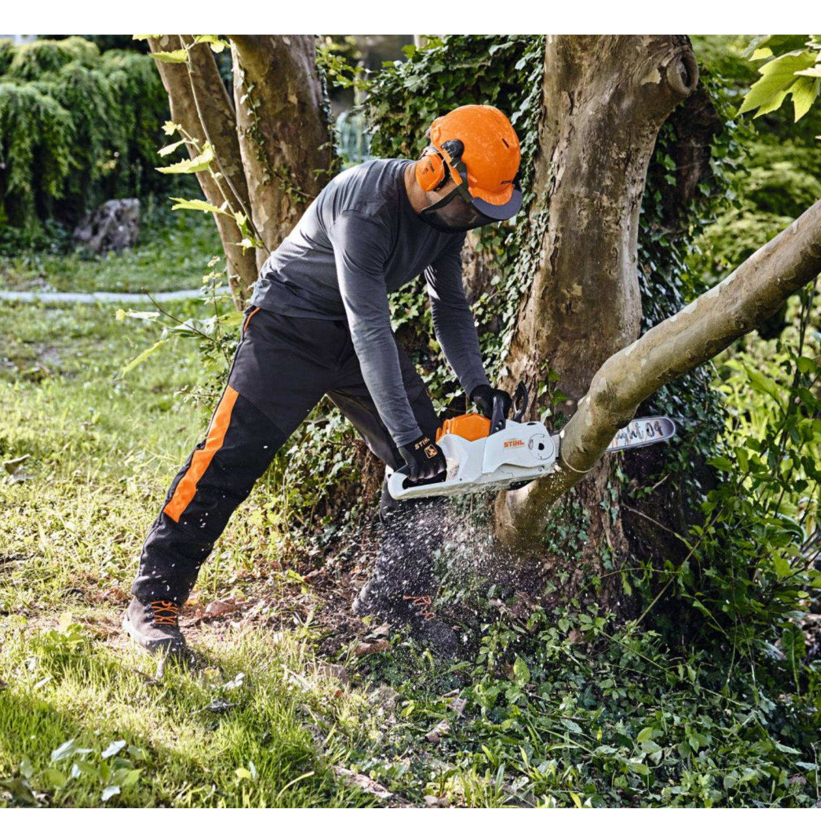 Tronçonneuse d'élagage STIHL à batterie all pro MSA 220 C B guide 35cm MA032000086