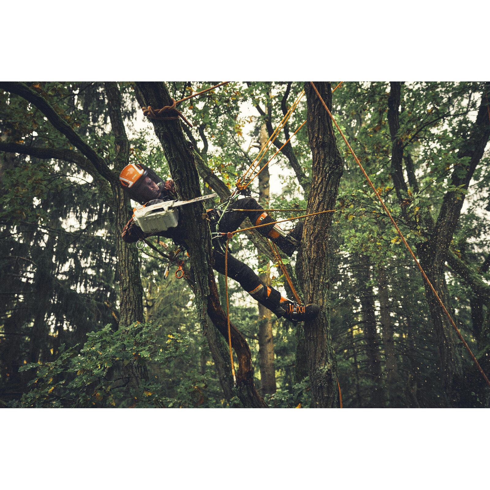 Tronçonneuse d'élagage à batterie MSA 190 T - AP SYSTEM STIHL - MA052000002