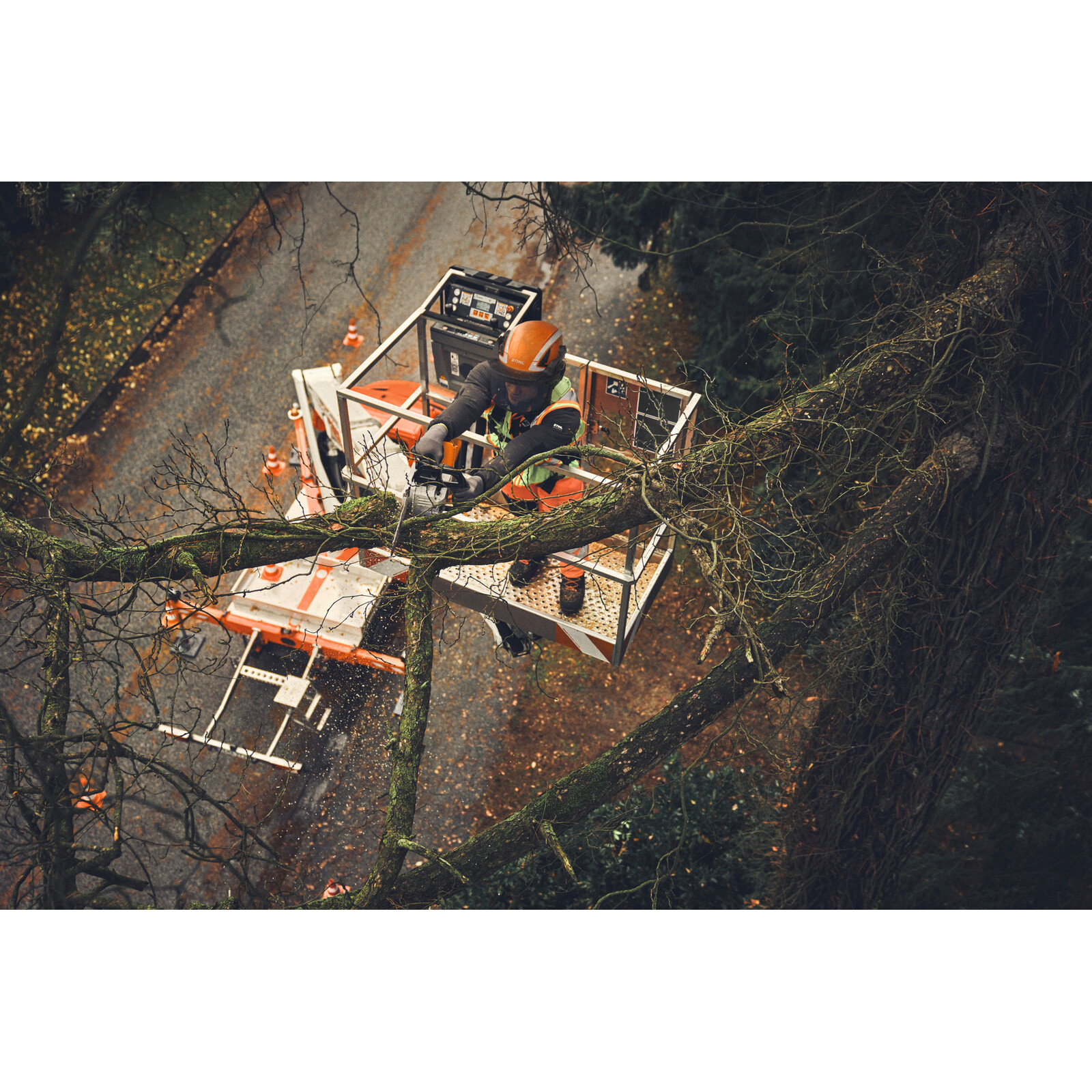 Tronçonneuse d'élagage à batterie MSA 190 T - AP SYSTEM STIHL - MA052000002