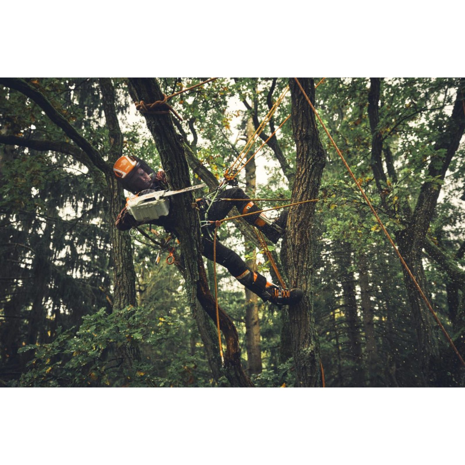 Tronçonneuse MSA 190 T avec guide Light 01. 35cm. 61PS3PRO - STIHL - MA052000010