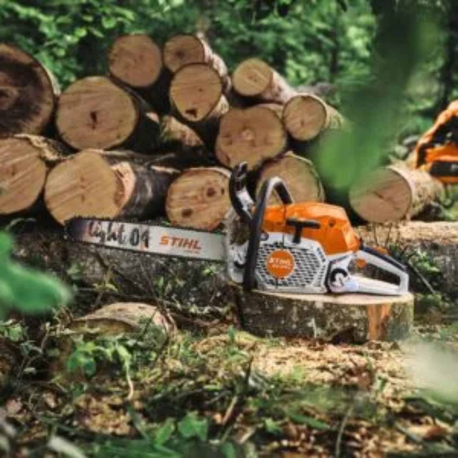 Tronçonneuse thermique STIHL MS 300 C-M guide 45 cm abattage ébranchage MB022000003