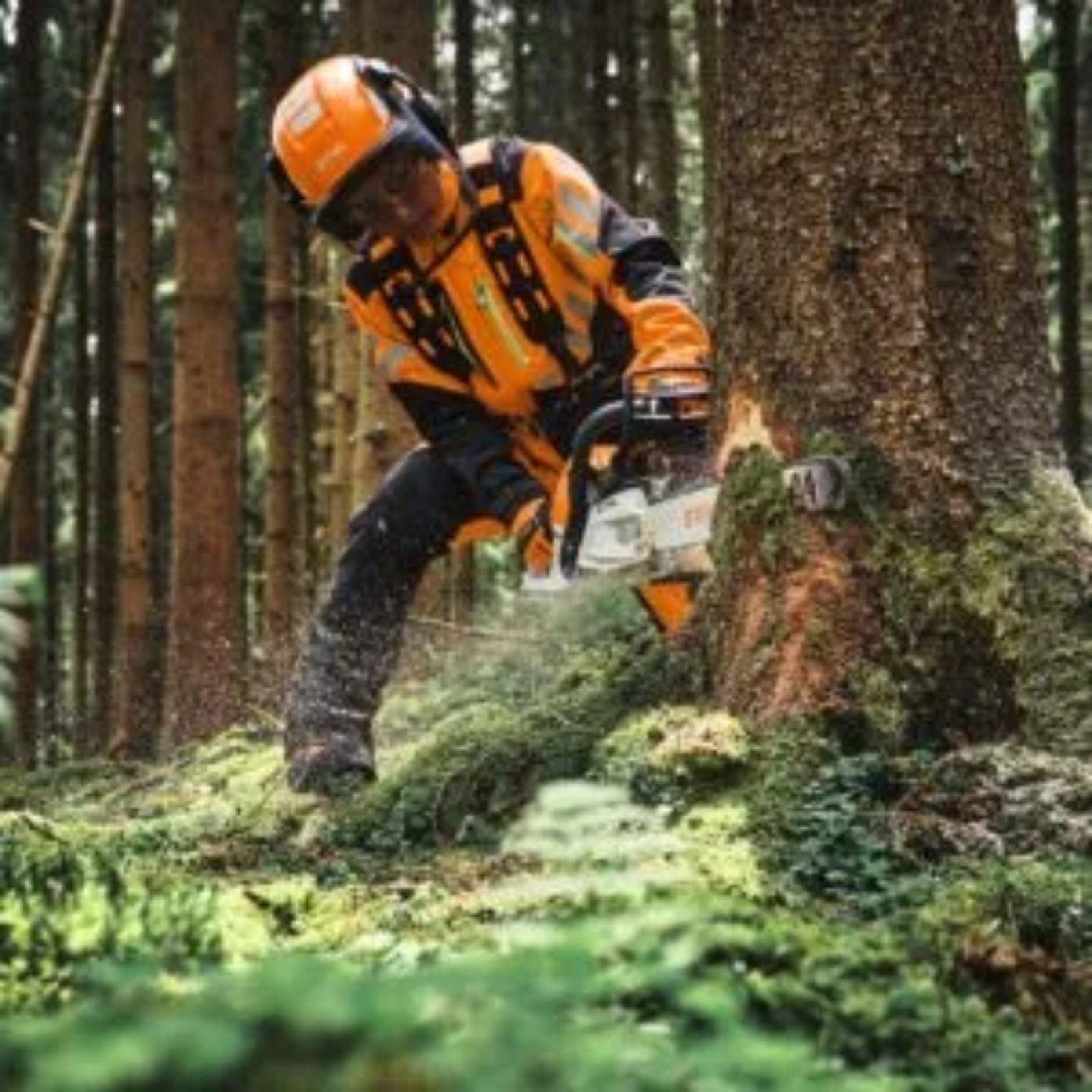 Scie à chaîne MS 300 C-M VW 45 cm - STIHL - MB022000008