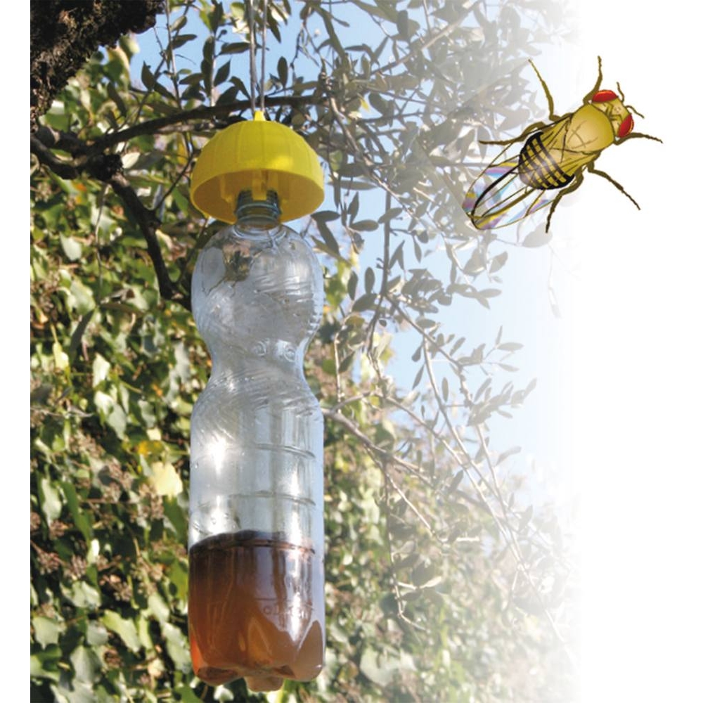 Piège à mouches et insectes - lot de 3 pcs DIMARTINO - 03468