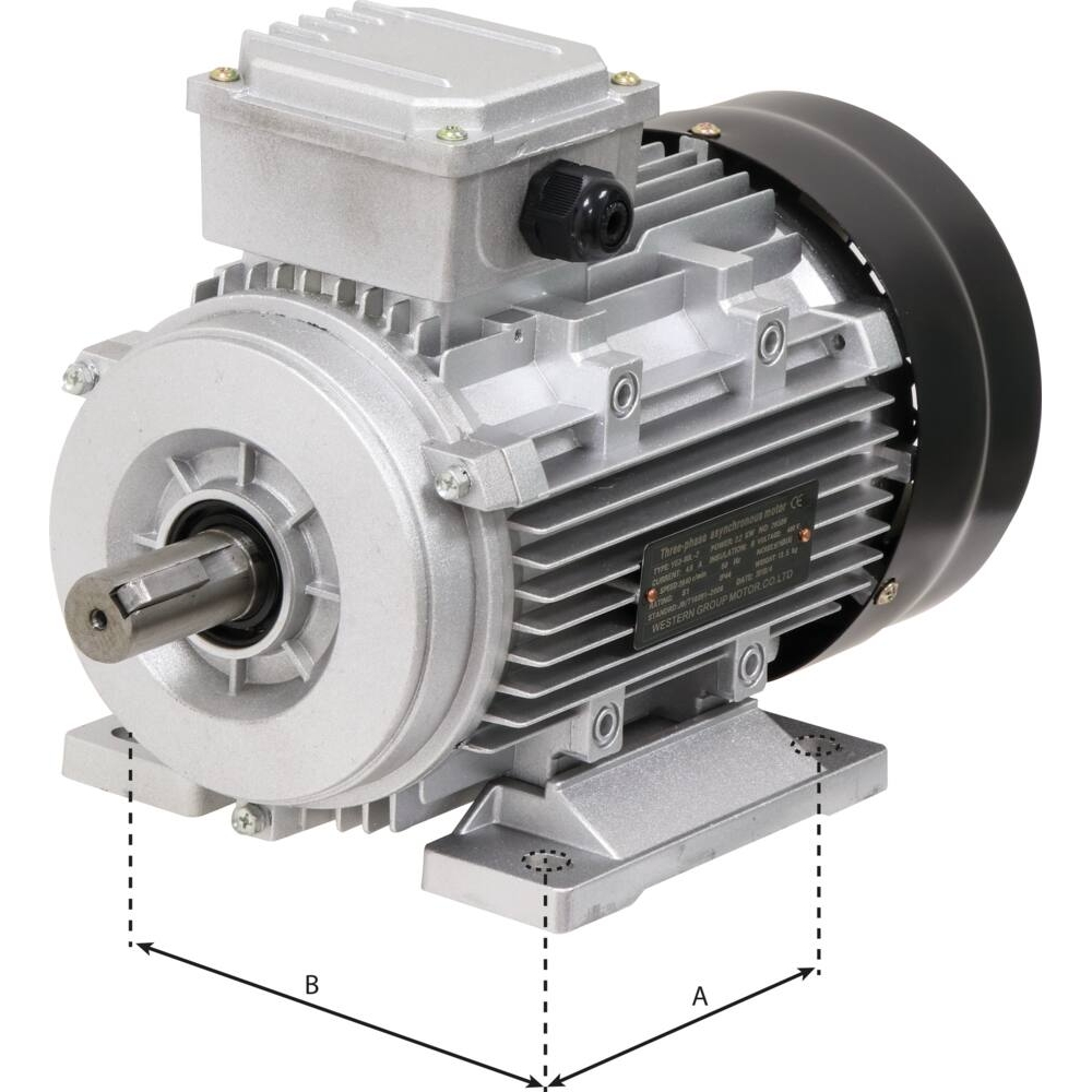 Moteur électrique 3CV 400V 3000 tr/min - 07002