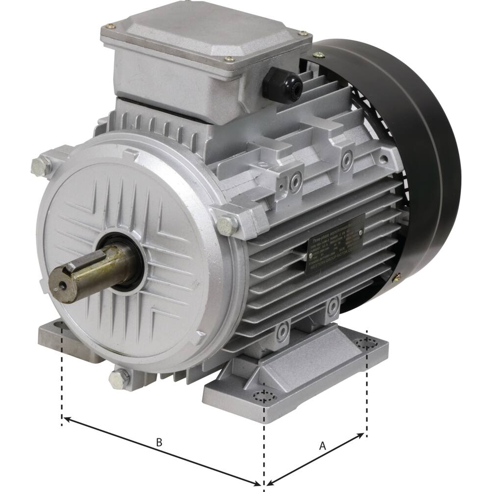 Moteur électrique 5,5CV 400V 3000 tr/min - 07004