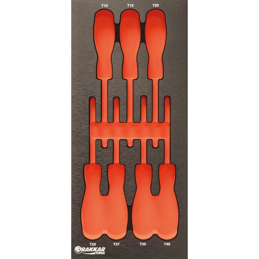 Module mousse 395x178mm métal vide pour tournevis Torx DRAKKAR TOOLS - 09775
