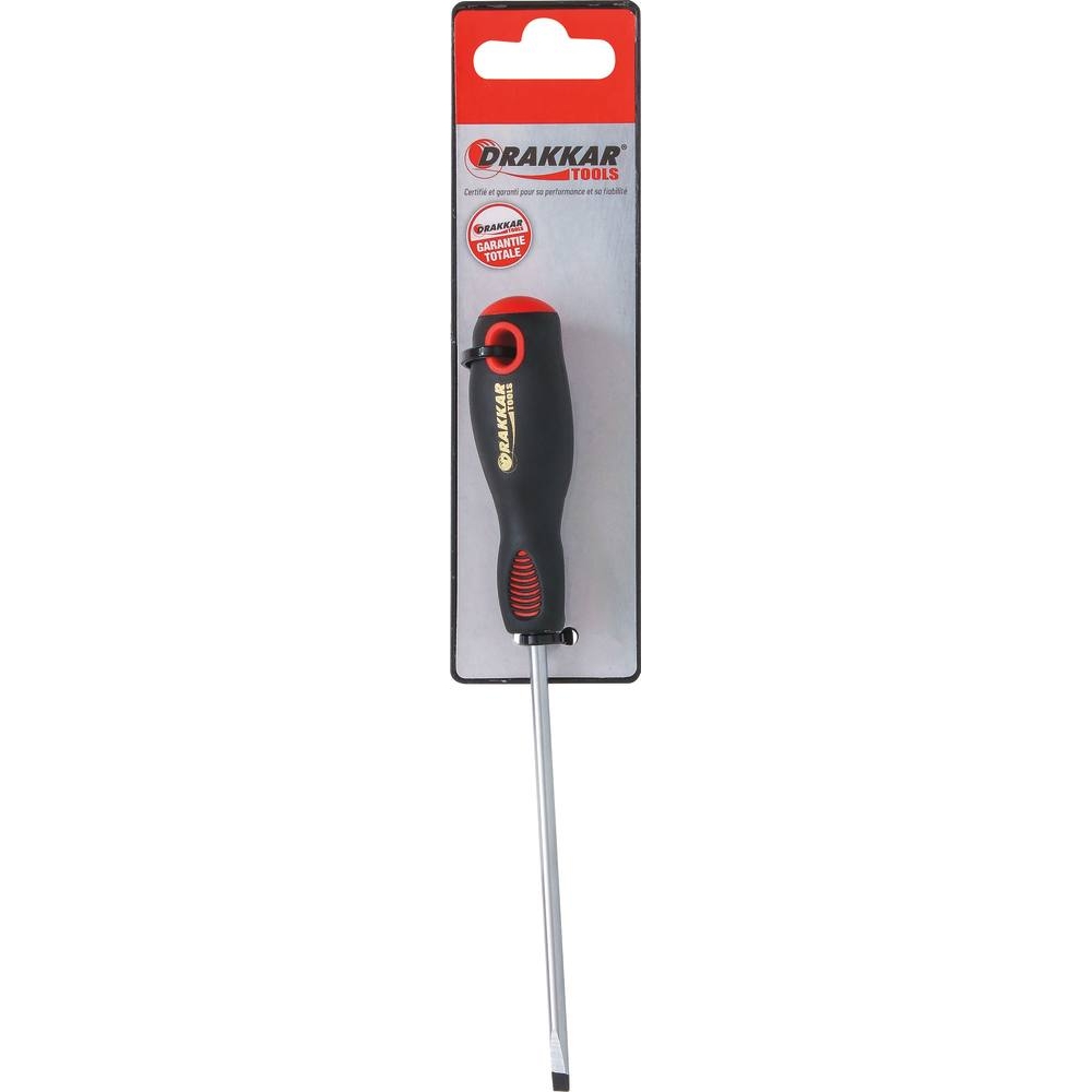 Tournevis plat 4x100mm - carte DRAKKAR TOOLS - 13241