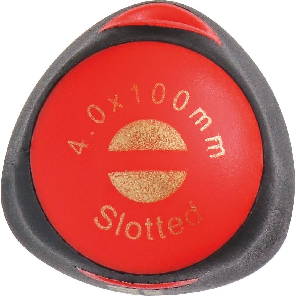 Tournevis plat 4x100mm DRAKKAR TOOLS - 13261