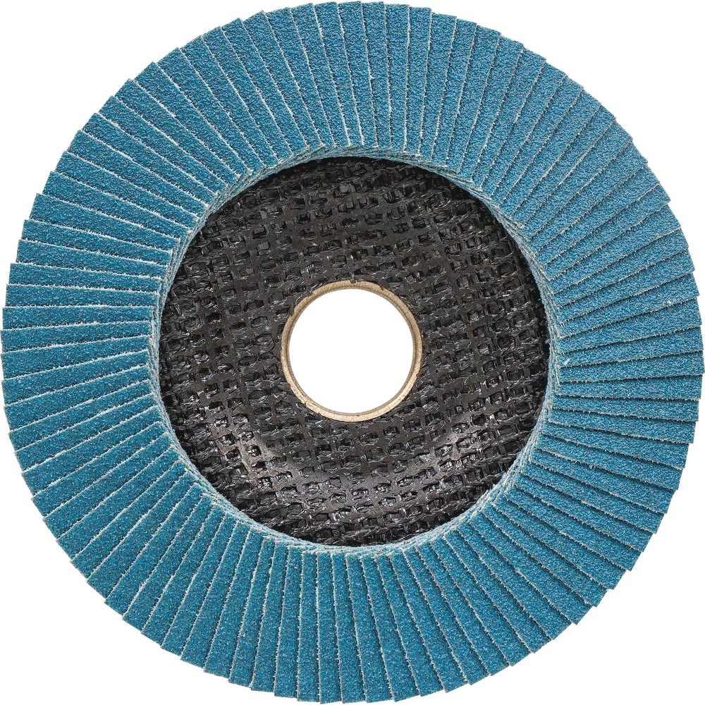 Disque à lamelles 125x22mm GR 80 - lot de 10 pcs RHODIUS - 14044