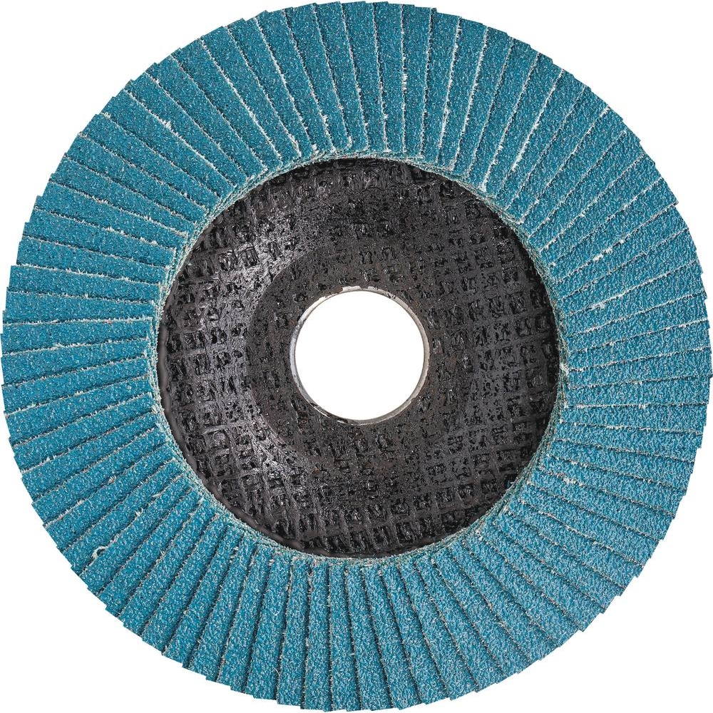 Disque à lamelles 125x22mm GR 60 - lot de 10 pcs RHODIUS - 14045