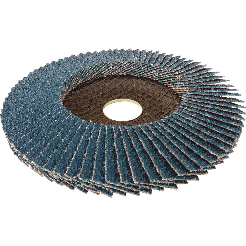 Disque à lamelles 125x22mm GR 40 - lot de 10 pcs RHODIUS - 14046