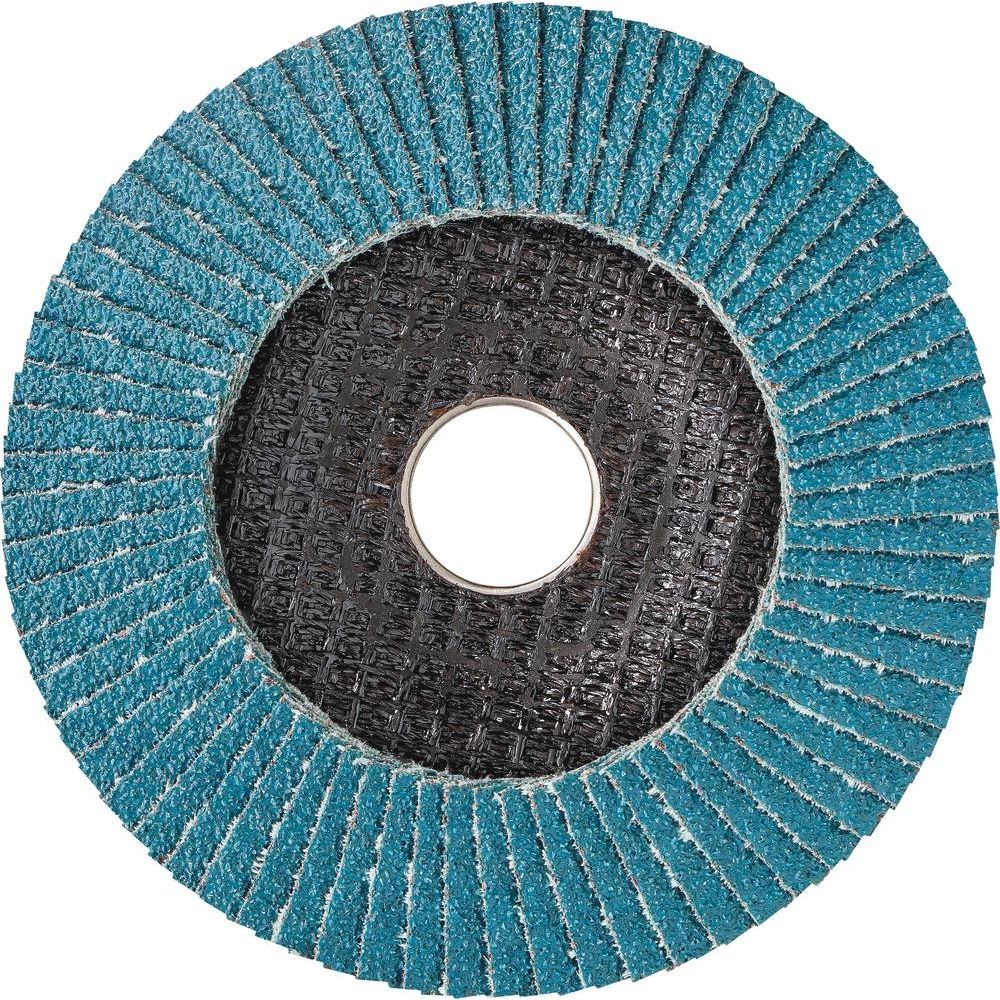 Disque à lamelles 125x22mm GR 40 - lot de 10 pcs RHODIUS - 14046