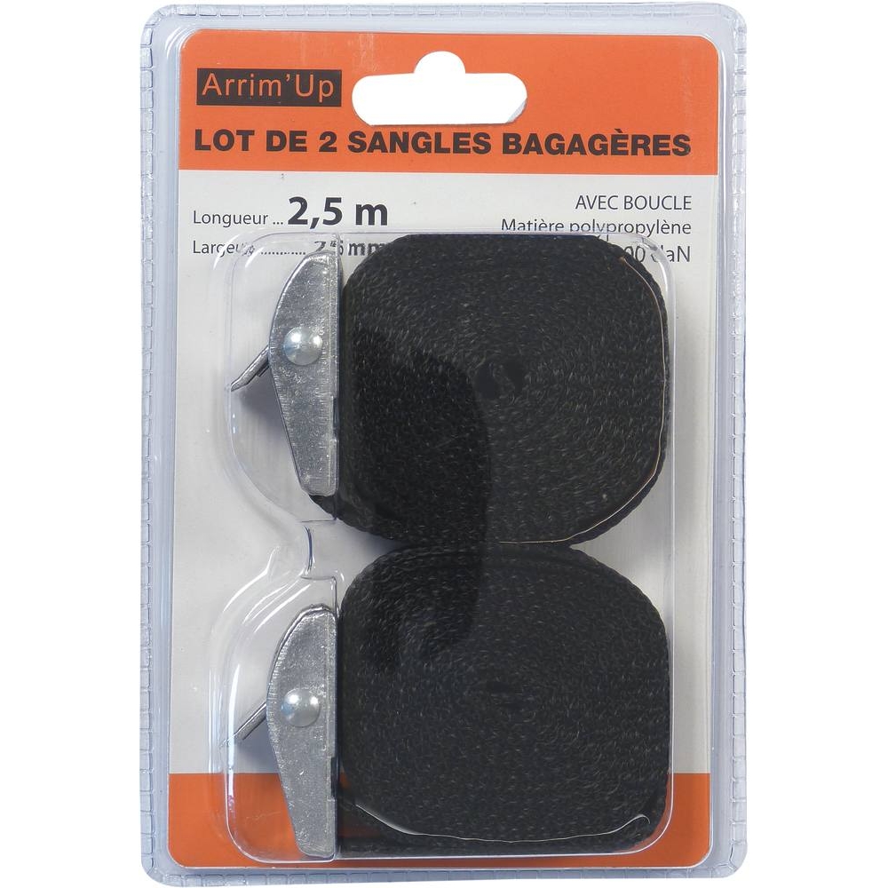 Sangle bagagère avec boucle 25mm 2,5m 300kg (lot de 2) DRAKKAR - 18380