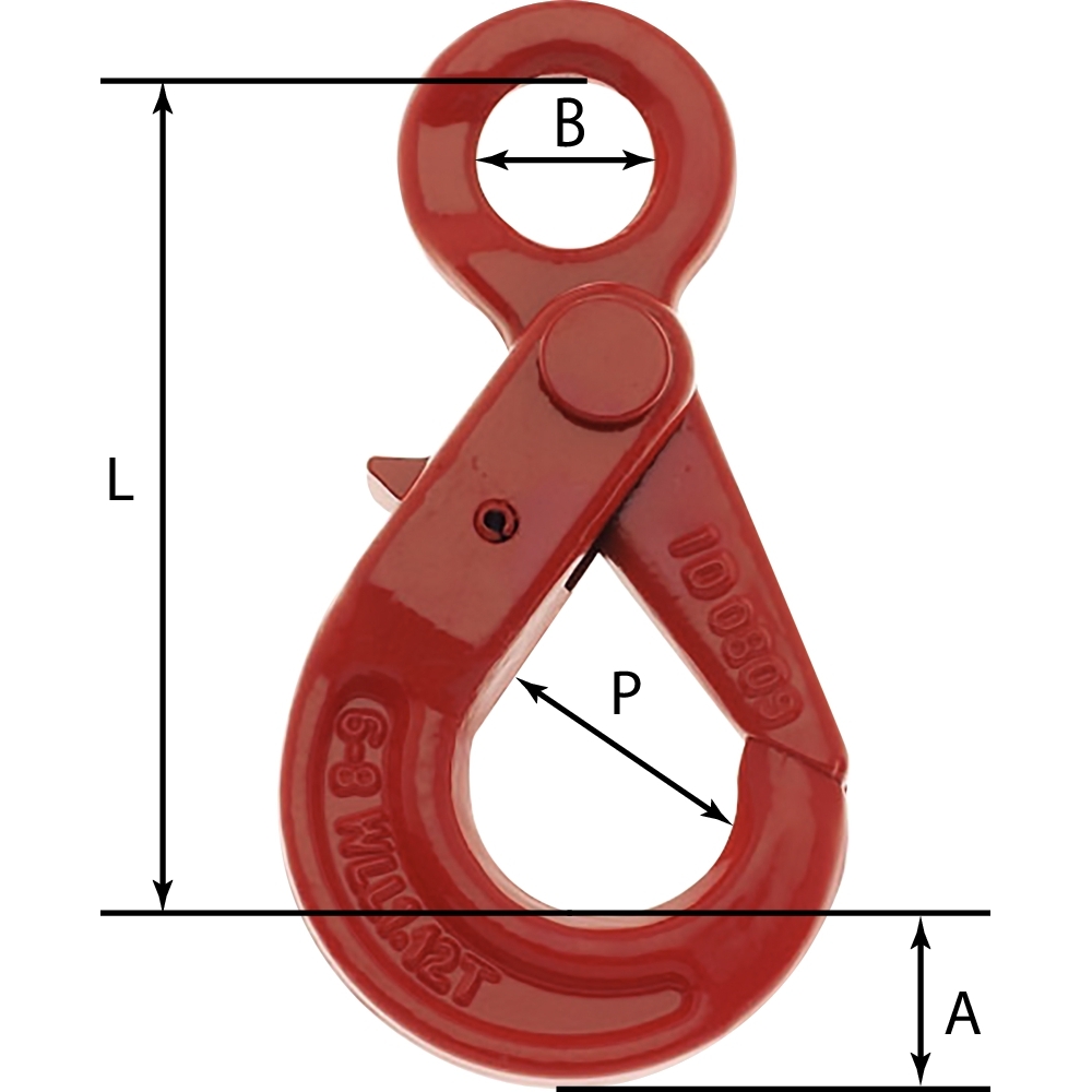 Crochet de sécurité automatique à oeil pour chaîne 10mm grade 80 - 18548