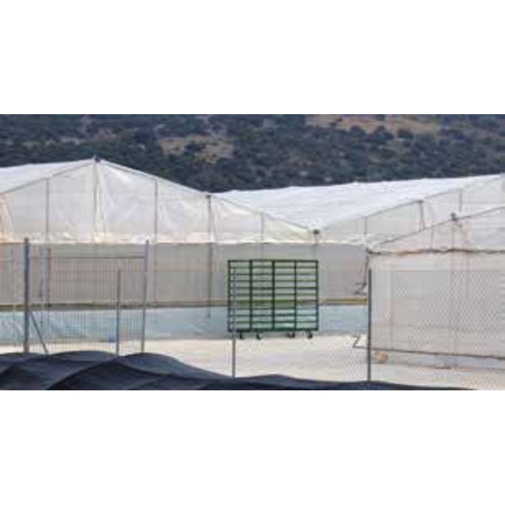 Ruban adhésif transparent 0,15x200mm 33m MIARCO - 20629