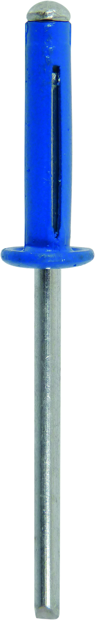 Rivet pétale spécial plaque d'immatriculation bleu 4x18mm - 250 - KLIPPER - 23910.250