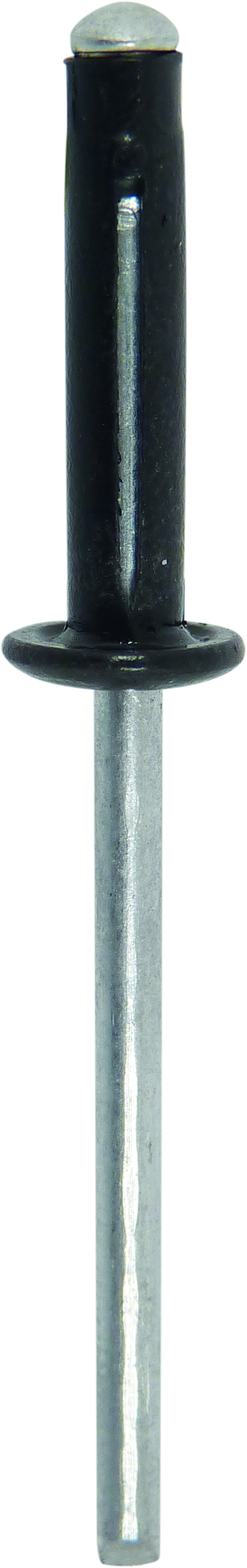 Rivet pétale spécial plaque d'immatriculation noir 4x18mm - 250 - KLIPPER - 23920.250