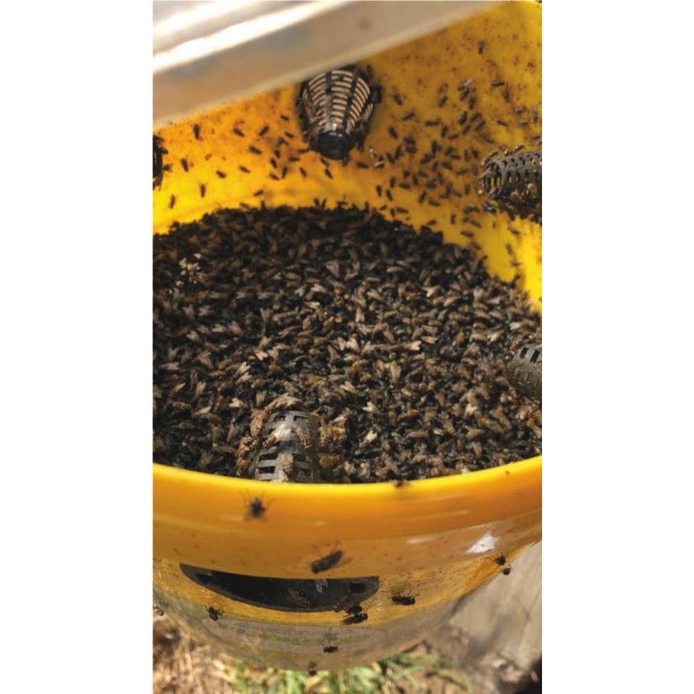 Piége à mouches FLYBUSTER avec seau de 10L et activateur ZAPI FARM - 60135