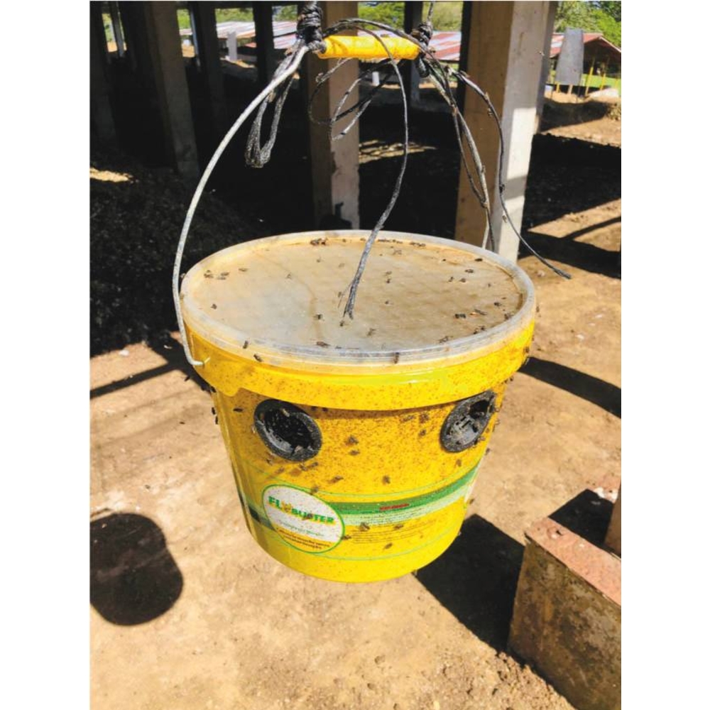 Piége à mouches FLYBUSTER avec seau de 10L et activateur ZAPI FARM - 60135